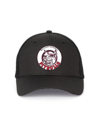 Afbeeldingen van VoorbeeldPet